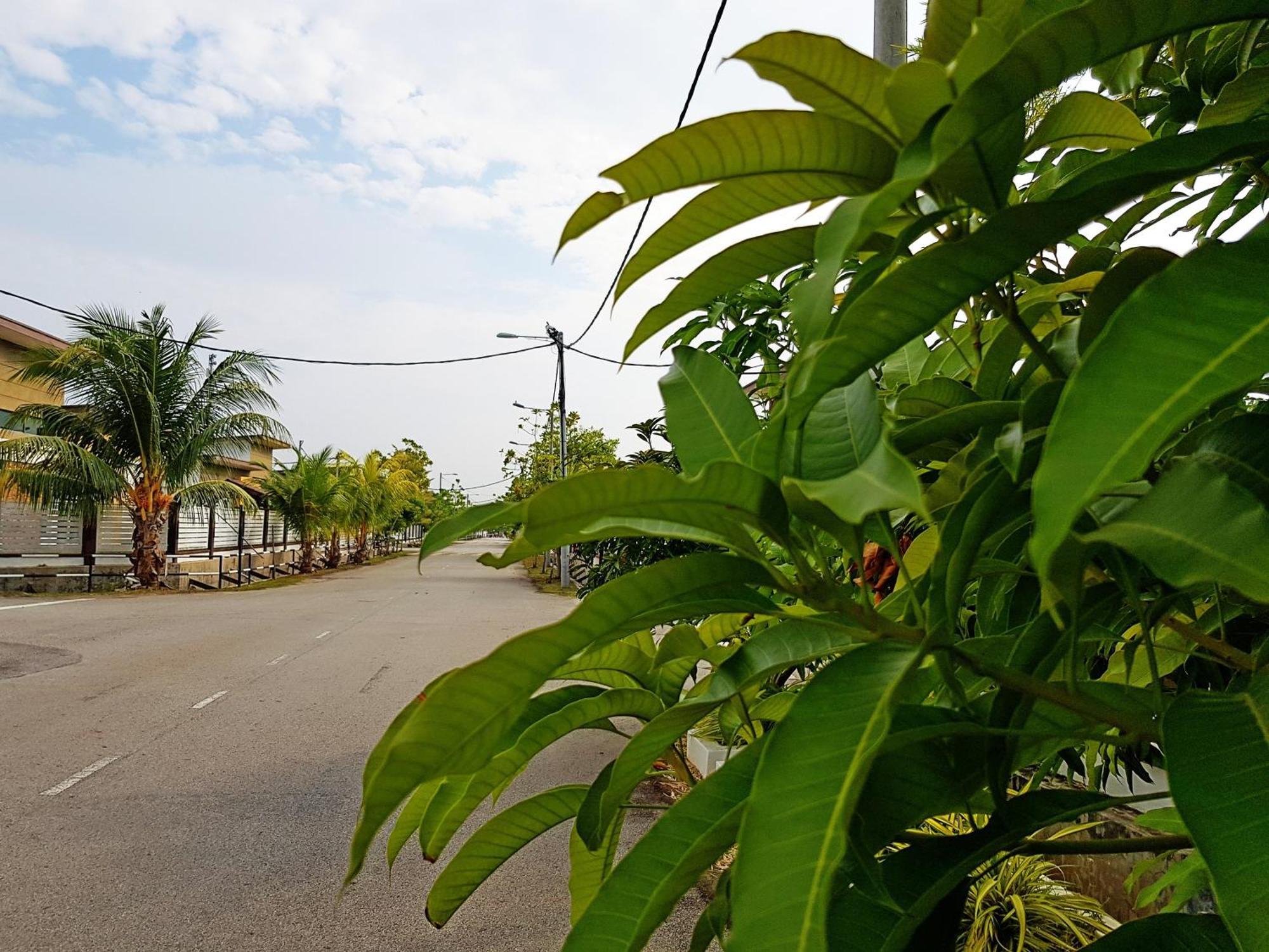 Siantan In Paya Rumput Near Std Hang Jebat, Sg Udang & Uitm Lendu Malakka Dış mekan fotoğraf